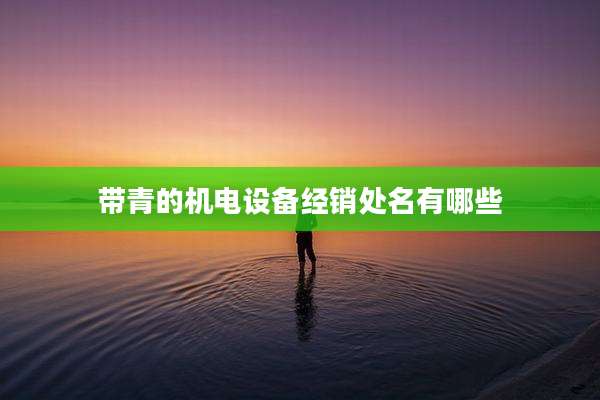 带青的机电设备经销处名有哪些
