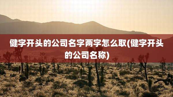 健字开头的公司名字两字怎么取(健字开头的公司名称)