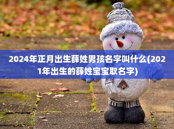 2024年正月出生薛姓男孩名字叫什么(2021年出生的薛姓宝宝取名字)