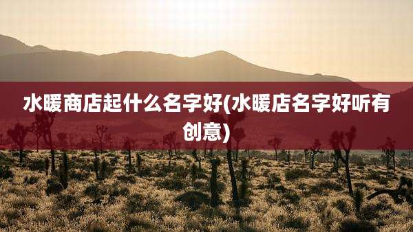 水暖商店起什么名字好(水暖店名字好听有创意)