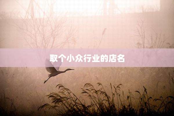 取个小众行业的店名