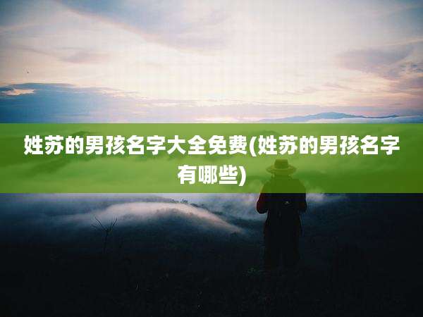 姓苏的男孩名字大全免费(姓苏的男孩名字有哪些)