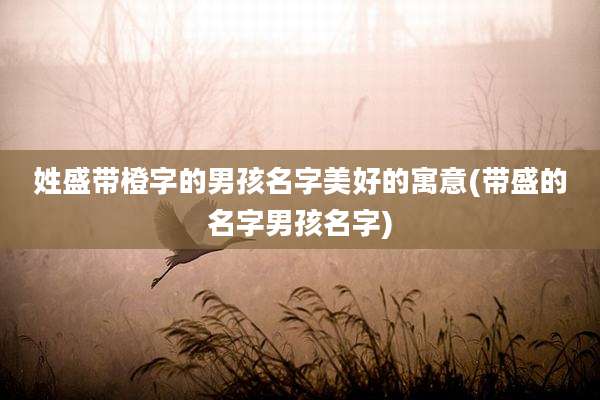 姓盛带橙字的男孩名字美好的寓意(带盛的名字男孩名字)