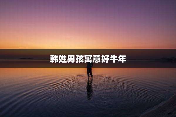 韩姓男孩寓意好牛年
