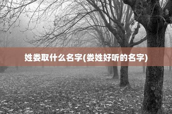 姓娄取什么名字(娄姓好听的名字)