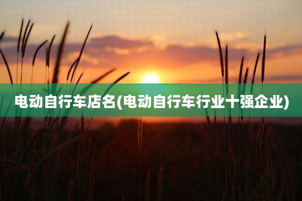 电动自行车店名(电动自行车行业十强企业)