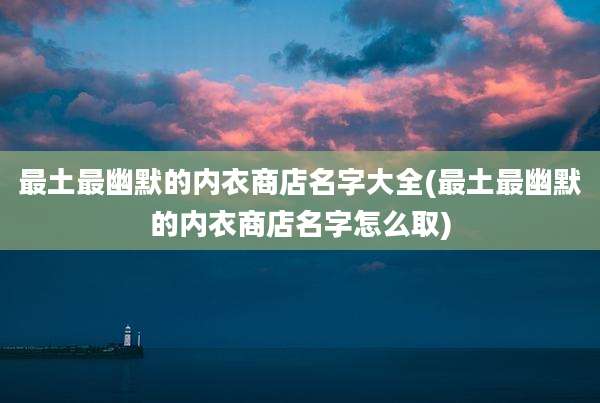 最土最幽默的内衣商店名字大全(最土最幽默的内衣商店名字怎么取)