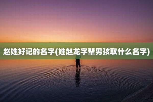 赵姓好记的名字(姓赵龙字辈男孩取什么名字)