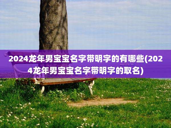 2024龙年男宝宝名字带明字的有哪些(2024龙年男宝宝名字带明字的取名)