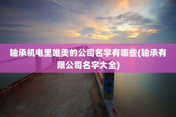 轴承机电里唯美的公司名字有哪些(轴承有限公司名字大全)