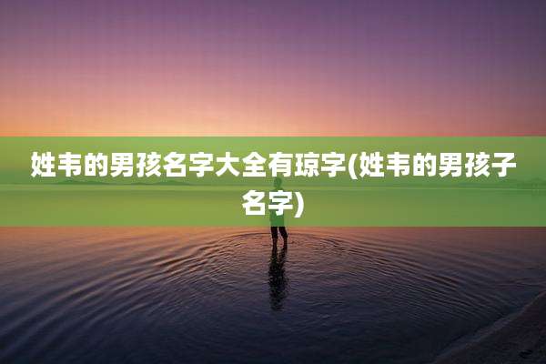 姓韦的男孩名字大全有琼字(姓韦的男孩子名字)