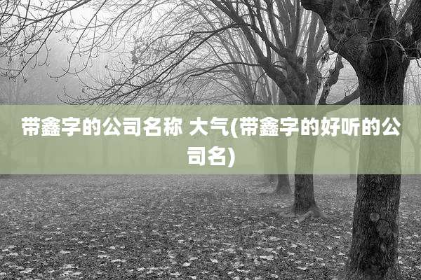 带鑫字的公司名称 大气(带鑫字的好听的公司名)