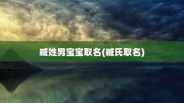臧姓男宝宝取名(臧氏取名)