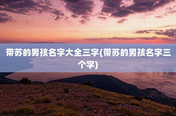 带苏的男孩名字大全三字(带苏的男孩名字三个字)