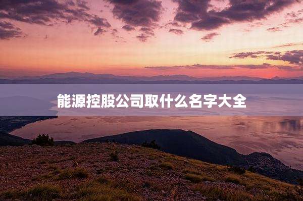 能源控股公司取什么名字大全