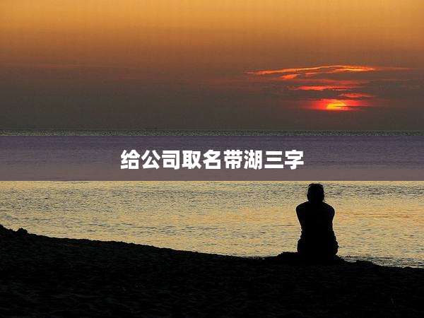 给公司取名带湖三字