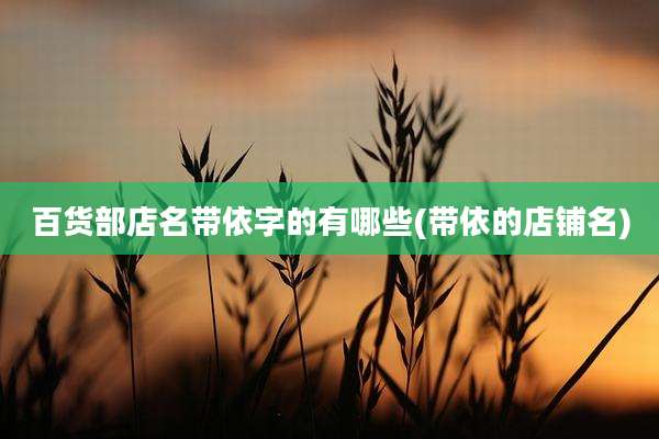 百货部店名带依字的有哪些(带依的店铺名)