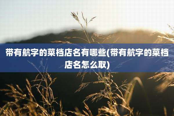 带有航字的菜档店名有哪些(带有航字的菜档店名怎么取)