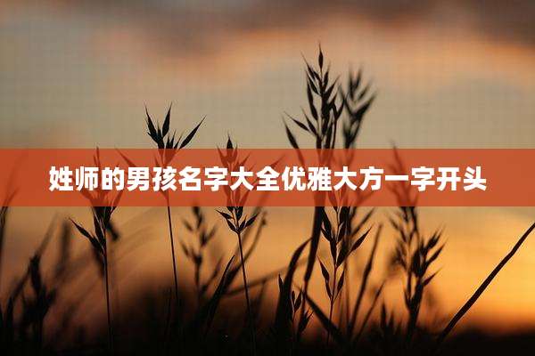 姓师的男孩名字大全优雅大方一字开头