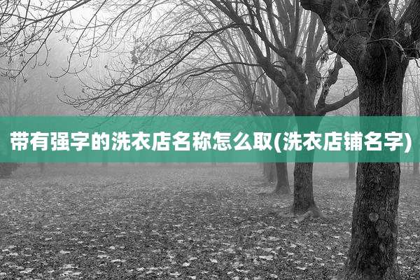 带有强字的洗衣店名称怎么取(洗衣店铺名字)
