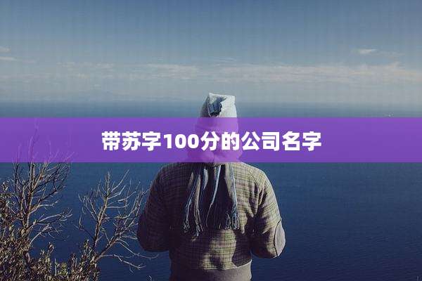 带苏字100分的公司名字