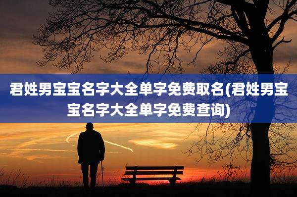 君姓男宝宝名字大全单字免费取名(君姓男宝宝名字大全单字免费查询)