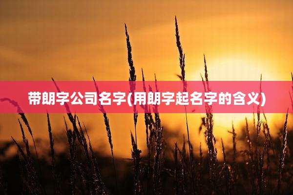 带朗字公司名字(用朗字起名字的含义)