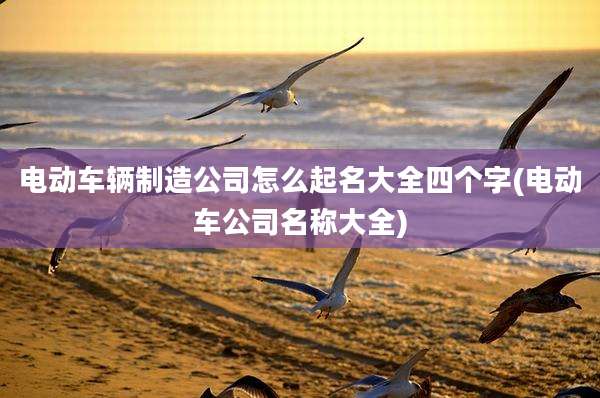电动车辆制造公司怎么起名大全四个字(电动车公司名称大全)