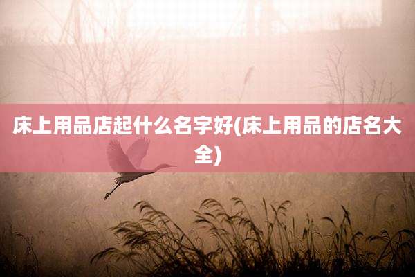 床上用品店起什么名字好(床上用品的店名大全)