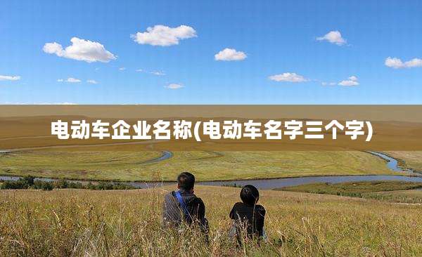 电动车企业名称(电动车名字三个字)