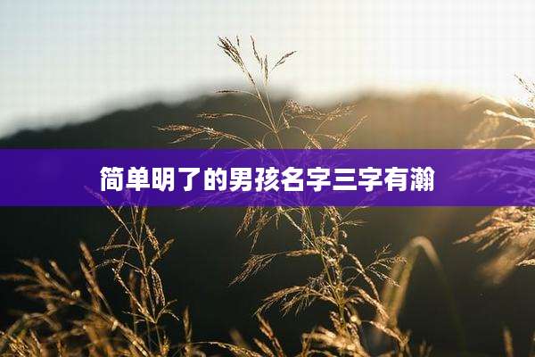 简单明了的男孩名字三字有瀚