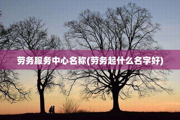 劳务服务中心名称(劳务起什么名字好)