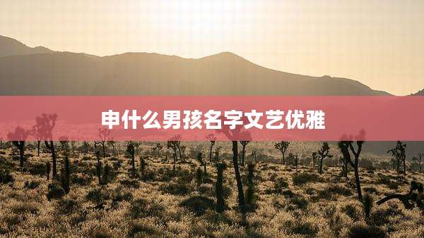 申什么男孩名字文艺优雅