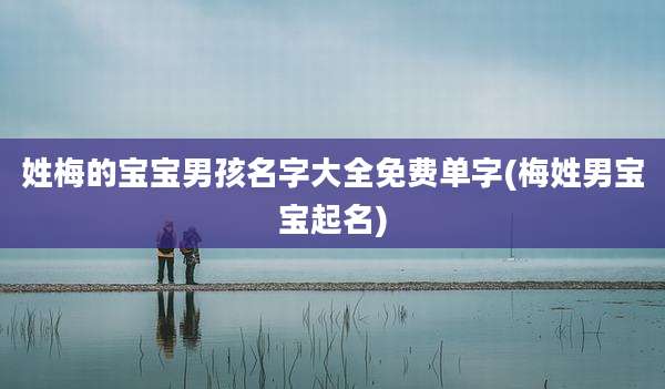 姓梅的宝宝男孩名字大全免费单字(梅姓男宝宝起名)