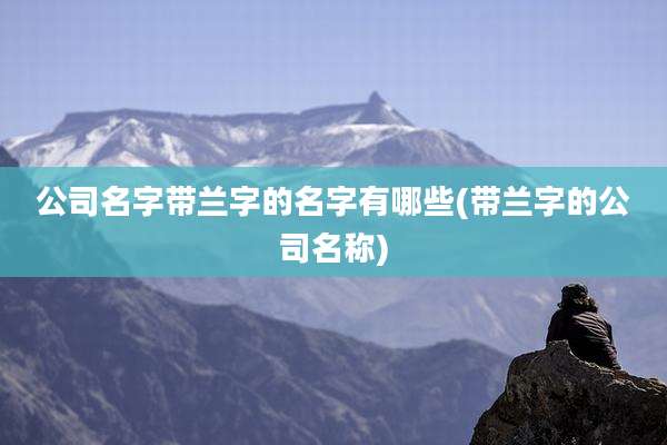 公司名字带兰字的名字有哪些(带兰字的公司名称)