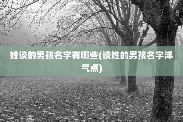 姓谈的男孩名字有哪些(谈姓的男孩名字洋气点)