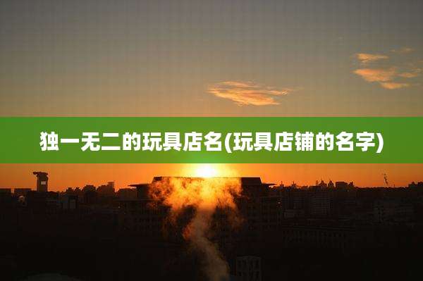 独一无二的玩具店名(玩具店铺的名字)