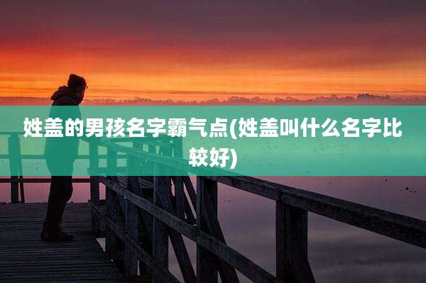 姓盖的男孩名字霸气点(姓盖叫什么名字比较好)