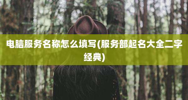 电脑服务名称怎么填写(服务部起名大全二字经典)