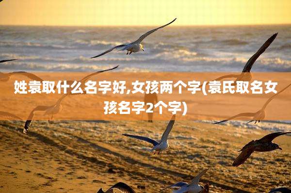 姓袁取什么名字好,女孩两个字(袁氏取名女孩名字2个字)