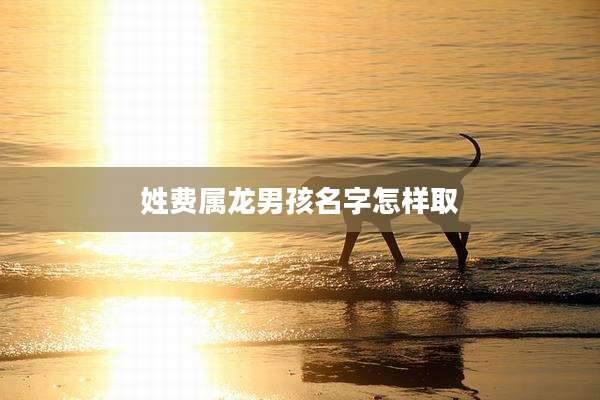 姓费属龙男孩名字怎样取