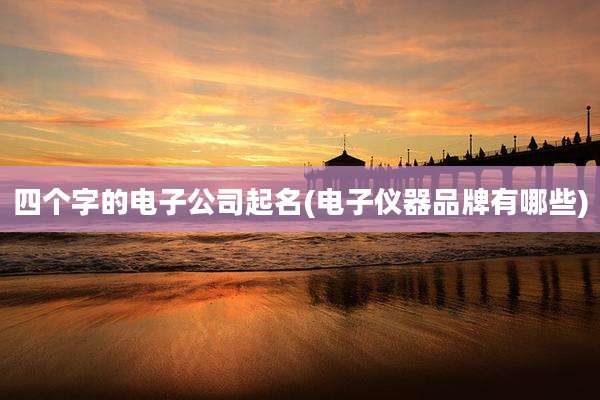 四个字的电子公司起名(电子仪器品牌有哪些)
