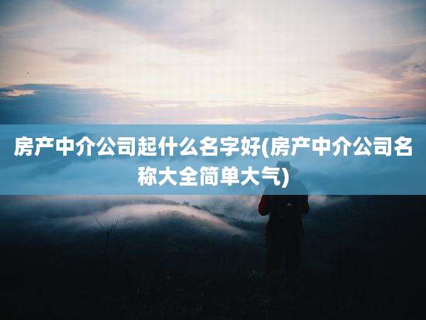 房产中介公司起什么名字好(房产中介公司名称大全简单大气)
