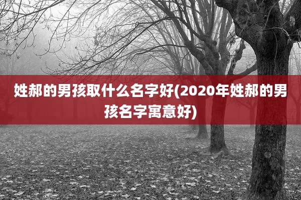 姓郝的男孩取什么名字好(2020年姓郝的男孩名字寓意好)
