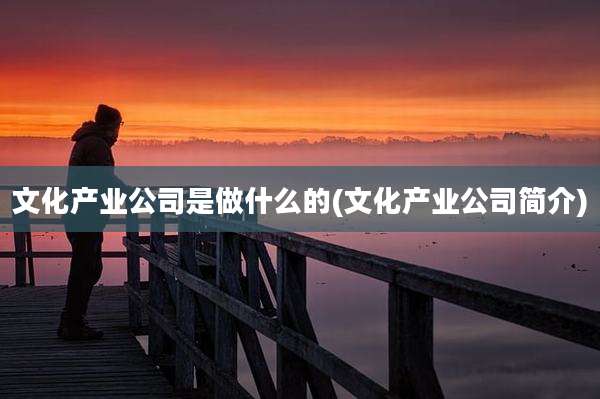 文化产业公司是做什么的(文化产业公司简介)