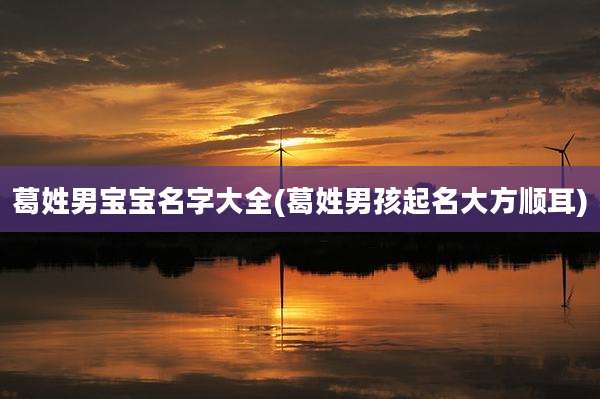 葛姓男宝宝名字大全(葛姓男孩起名大方顺耳)