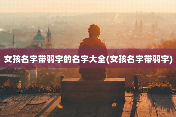 女孩名字带羽字的名字大全(女孩名字带羽字)