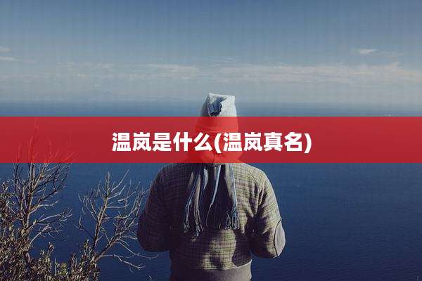 温岚是什么(温岚真名)
