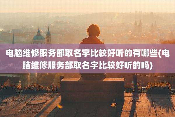 电脑维修服务部取名字比较好听的有哪些(电脑维修服务部取名字比较好听的吗)