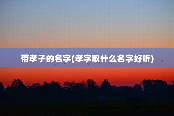 带孝子的名字(孝字取什么名字好听)
